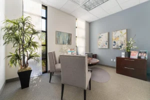 Private consultation room at Parie Med Spa with modern decor and seating