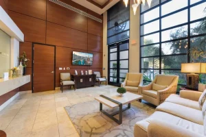 Parie Med Spa lobby with modern seating and large floor to ceiling windows